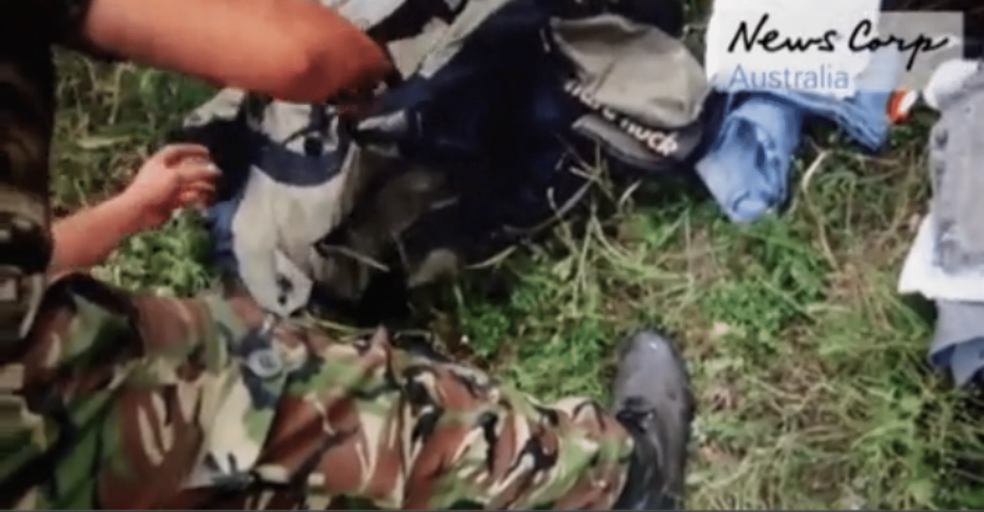 Video Of Rebels Handling Remains Of MH17 Passengers Released